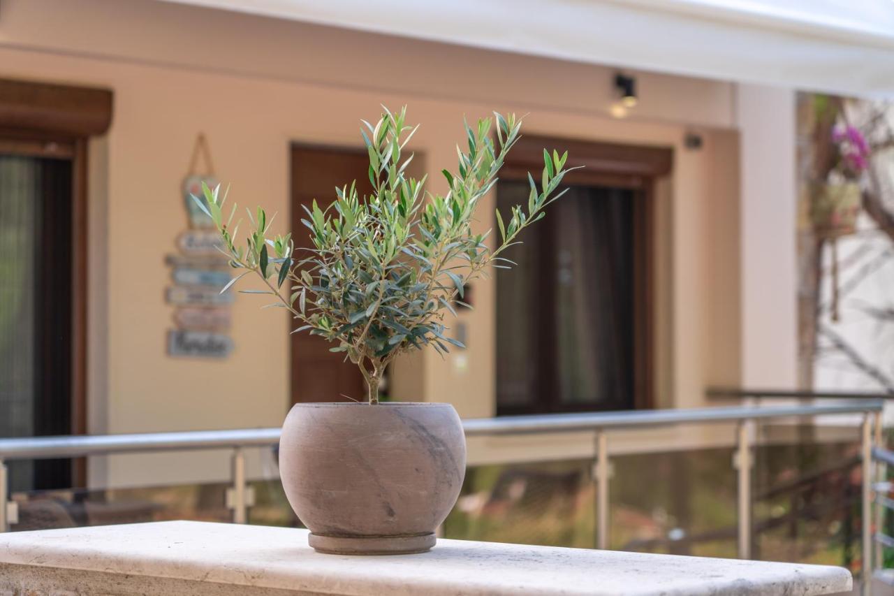 Ferienwohnung Νεφέλη-Σπίτι Ολόκληρο Για Αξέχαστες Διακοπές Στην Σιβηρη Siviri Exterior foto